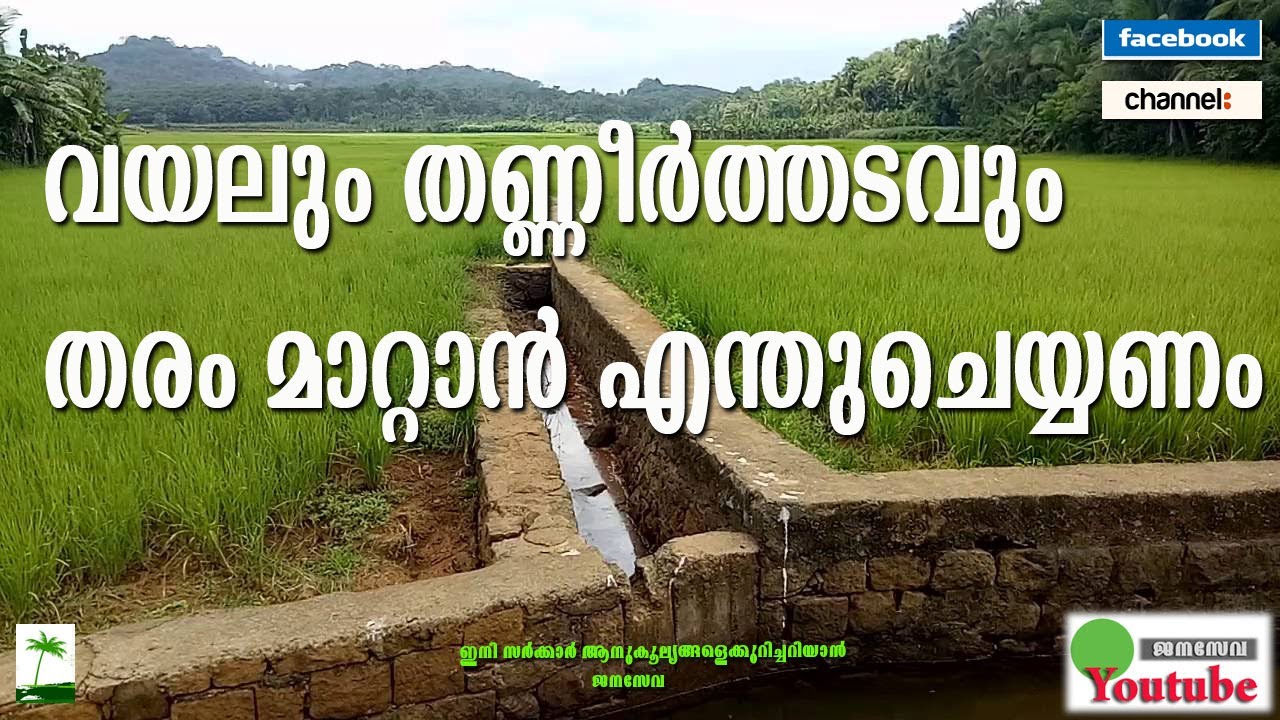 വയലും തണ്ണീർത്തടവും തരം മാറ്റാൻ എന്തുചെയ്യണം| Data Bank | Janaseva