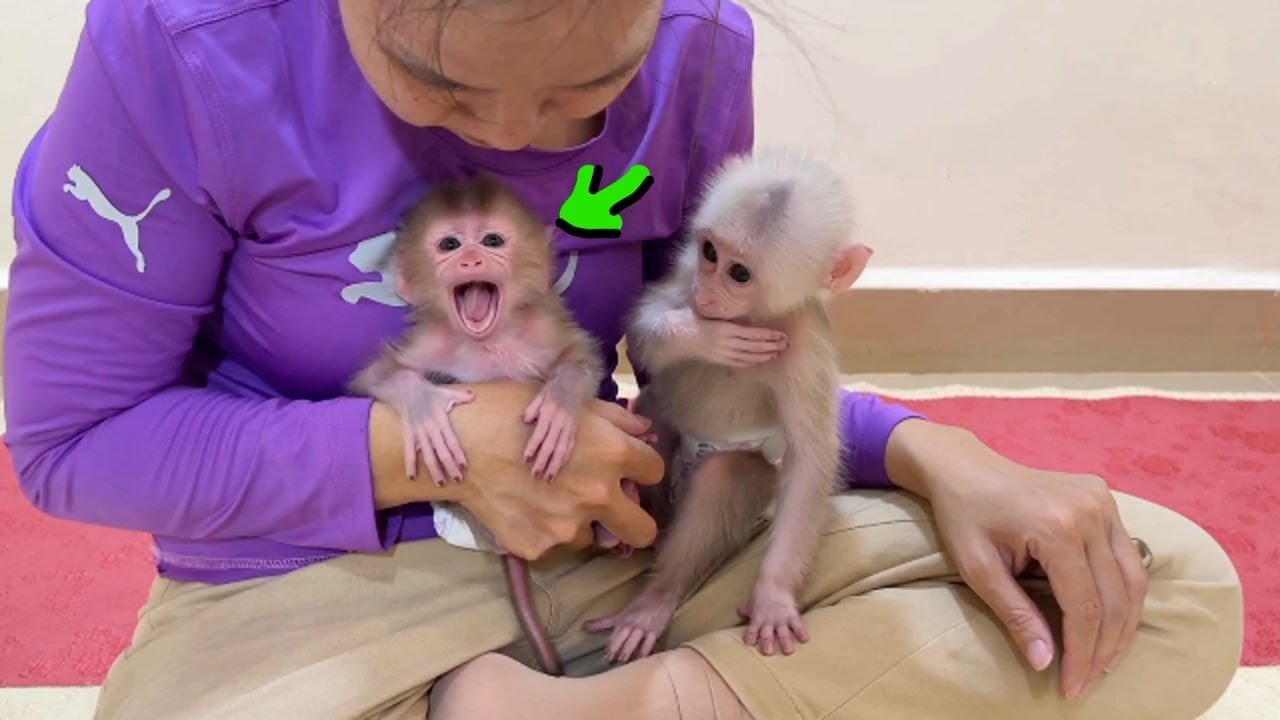 M0ody Titas Feel Scareee Not Sharing Mom With Bro Pavpav