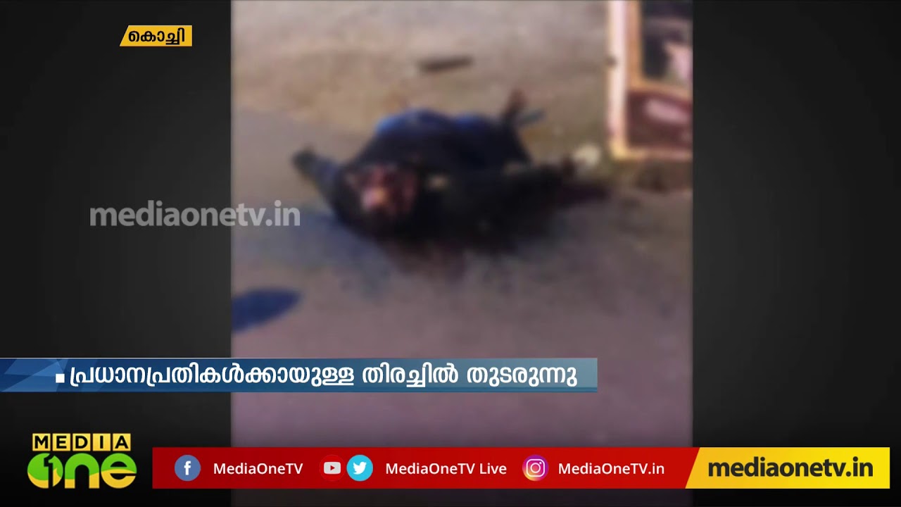 നെടുമ്പാശ്ശേരി അത്താണി കൊലപാതകം; അഞ്ച് പേര്&zwj; അറസ്റ്റില്&zwj;/Nedumbassery Murder Case