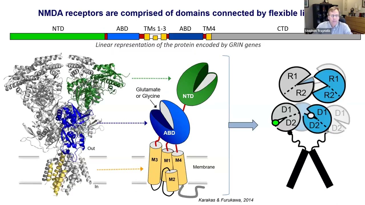 Webinar: Gain of Function Vs. Loss of Function Variants