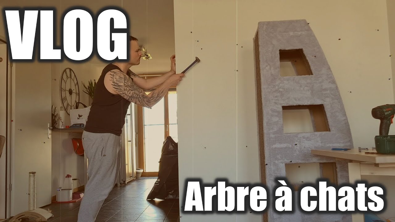 ◄ VLOG : ON A UN NOUVEL ARBRE A CHATS ►