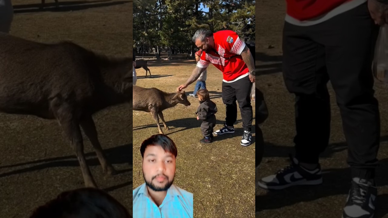 Animal attack to baby | this is social awareness video only | 😢👶 #shorts #animals #viralvideo