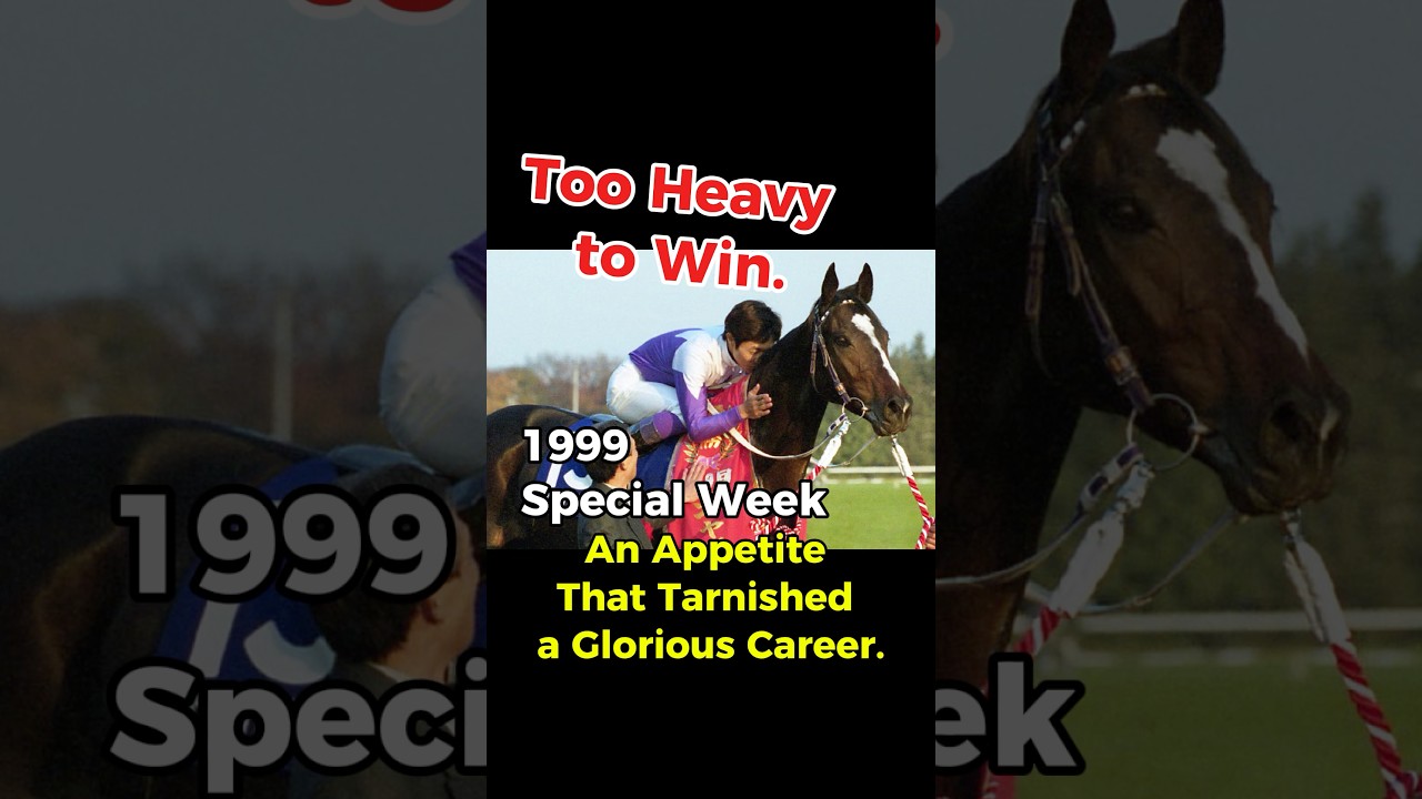 Special Week &ndash; From Lazy Champion to Record-Breaking Redemption