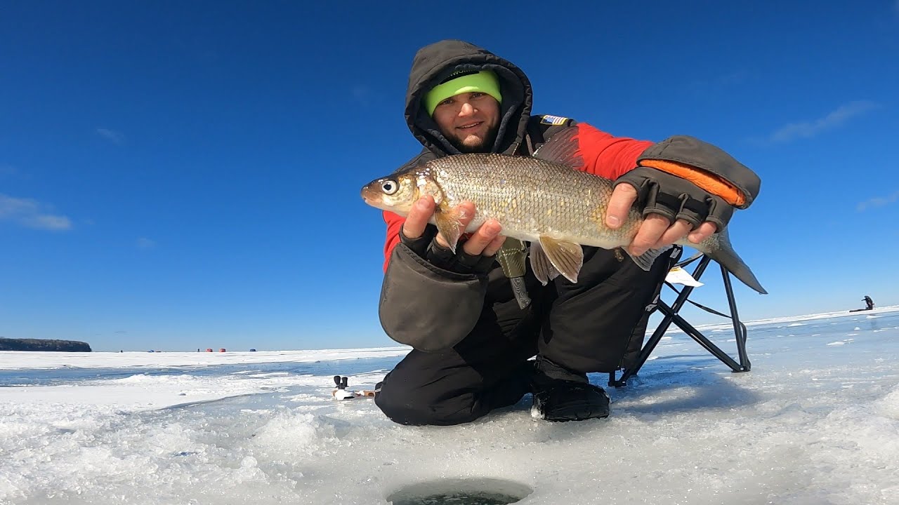 Рыбалка на Сига ( Whitefish) в США.  Подлёдная Рыбалка Ранней Весной.
