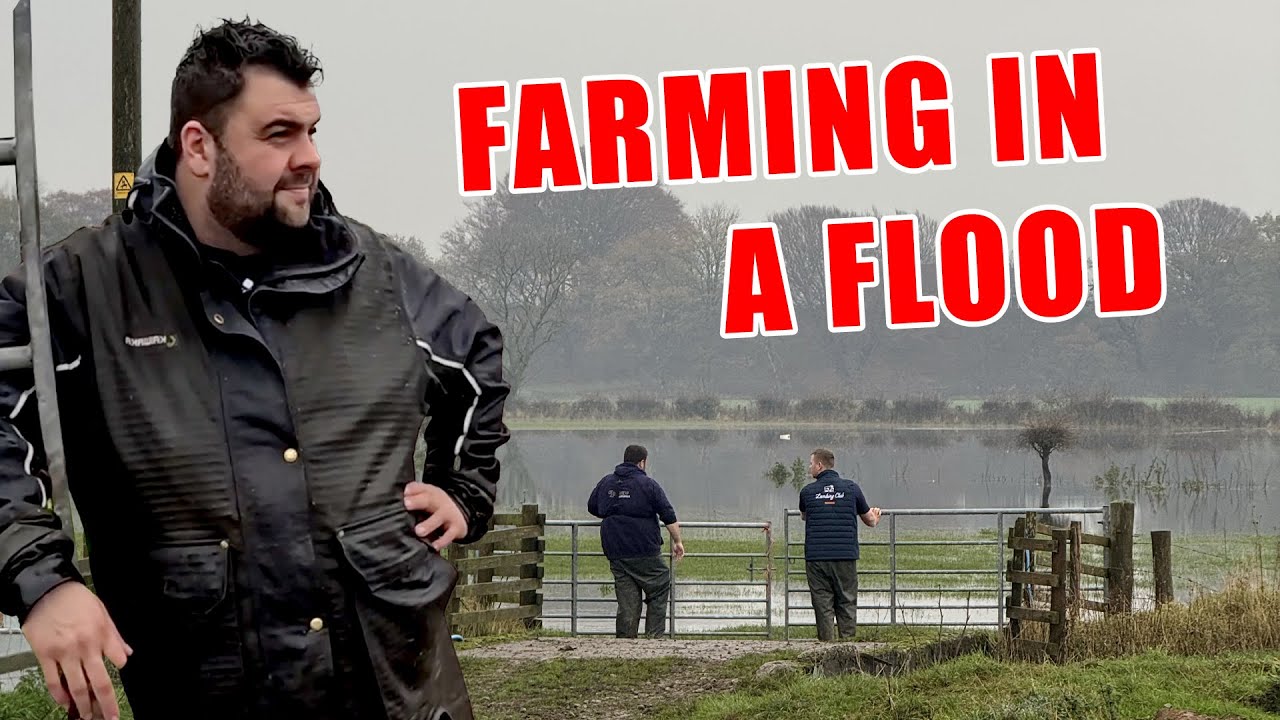 ХАОС НА НЕДЕЛЕ ТАППИНГА! 🤯 Scottish Weather и Naughty Pigs чуть не сорвали нашу самую важную неделю!
