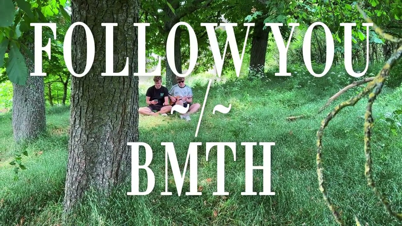 Bring Me The Horizon - Follow You (acoustic cover)