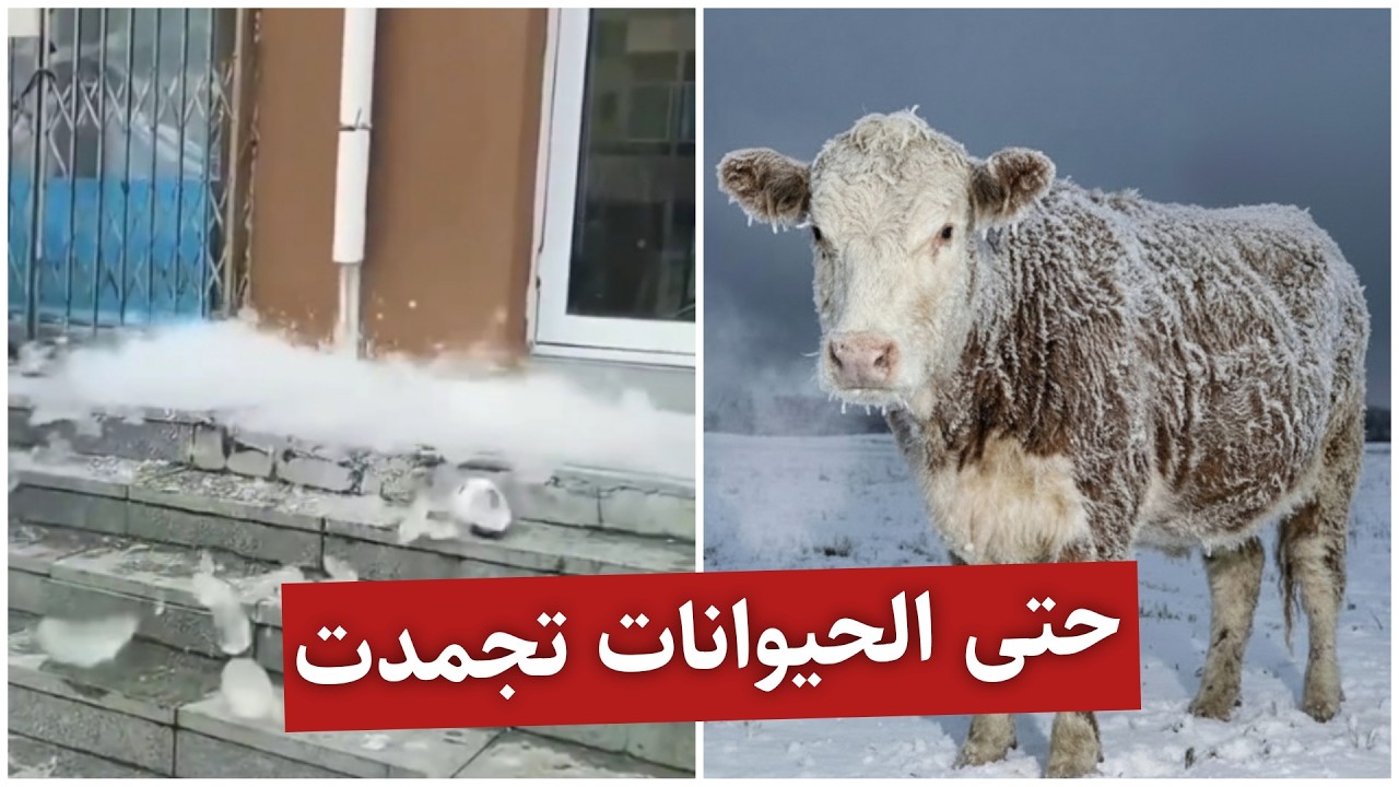 عاجل | عاصفة فيرن الجليدية تضرب أمريكا: مشاهد تحبس الأنفاس لشلل تام في تينيسي وميسيسيبي