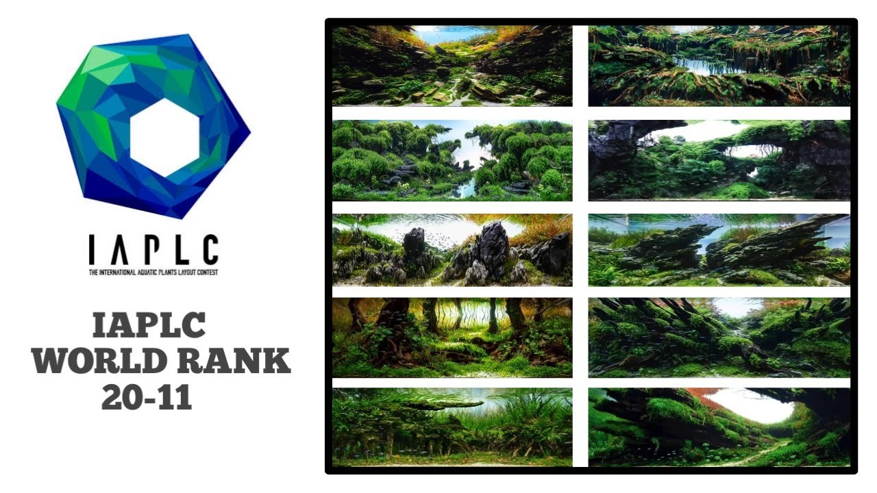 IAPLC-2021|| World Ranking 20-11 [Part2] .