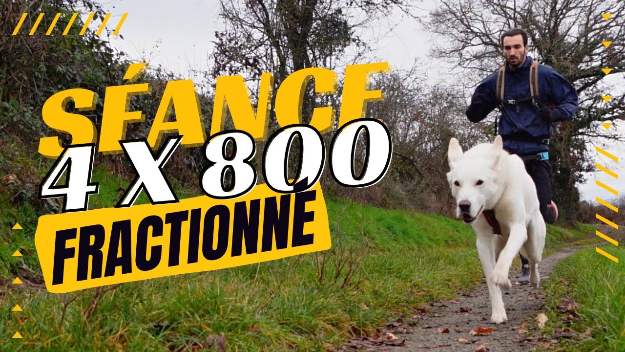 PEUT-ON VRAIMENT S'ENTRA&Icirc;NER EN FRACTIONN&Eacute; EN CANICROSS ?