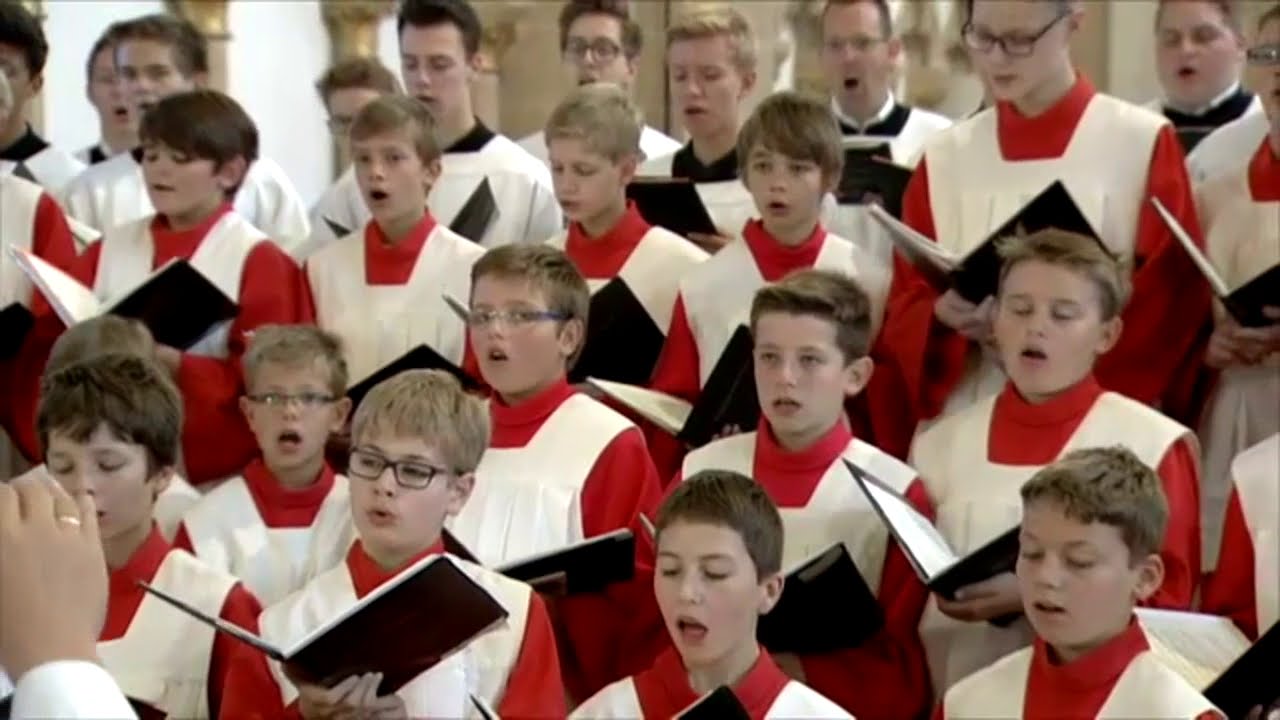 Paderborner Domchor "Locus iste" Anton Bruckner (Hoher Dom zu Paderborn 27.07.2015)