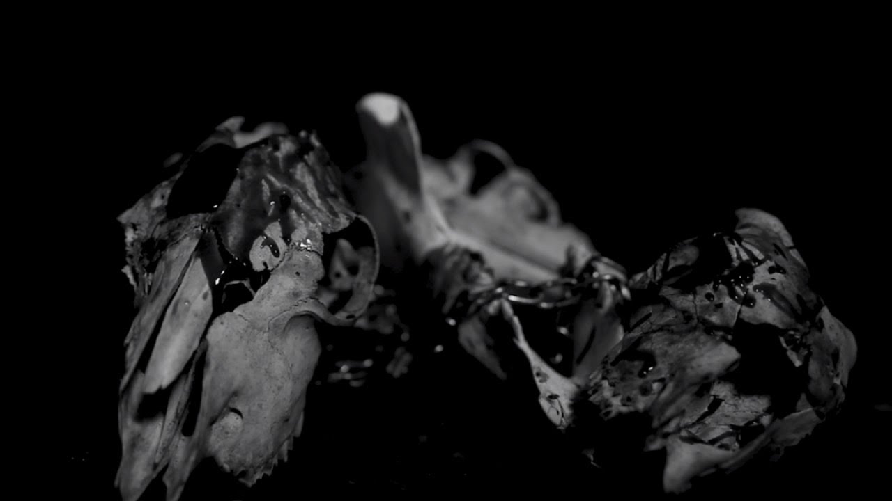 Cloak - The Hunger (official music video)