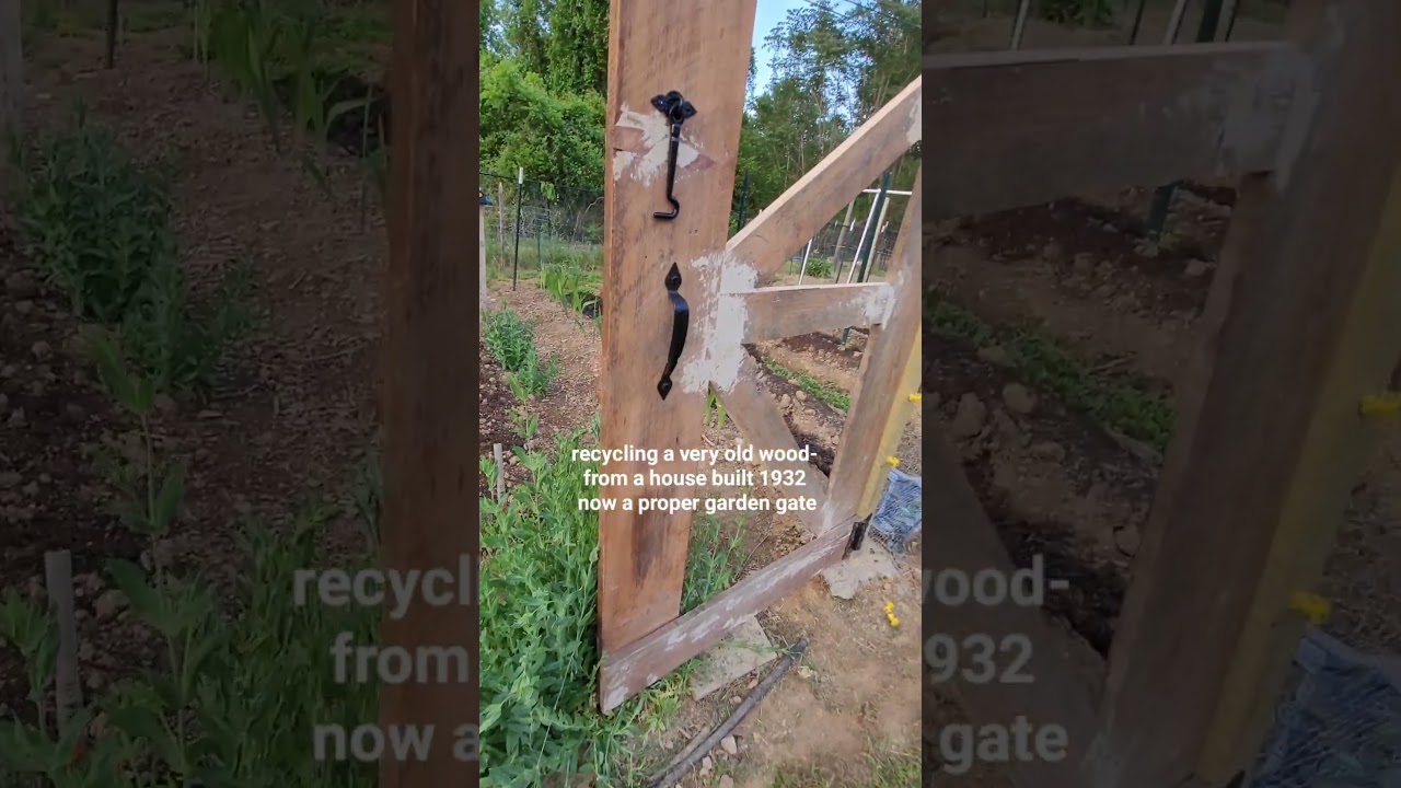 building the garden gate