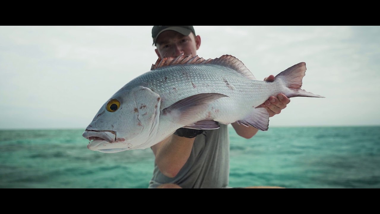 Ocean Borne Flying Poppers and Pencills - true innovation