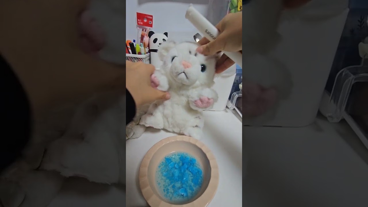 몽실이,히핑이,레핑이의 방을 만들었어요.