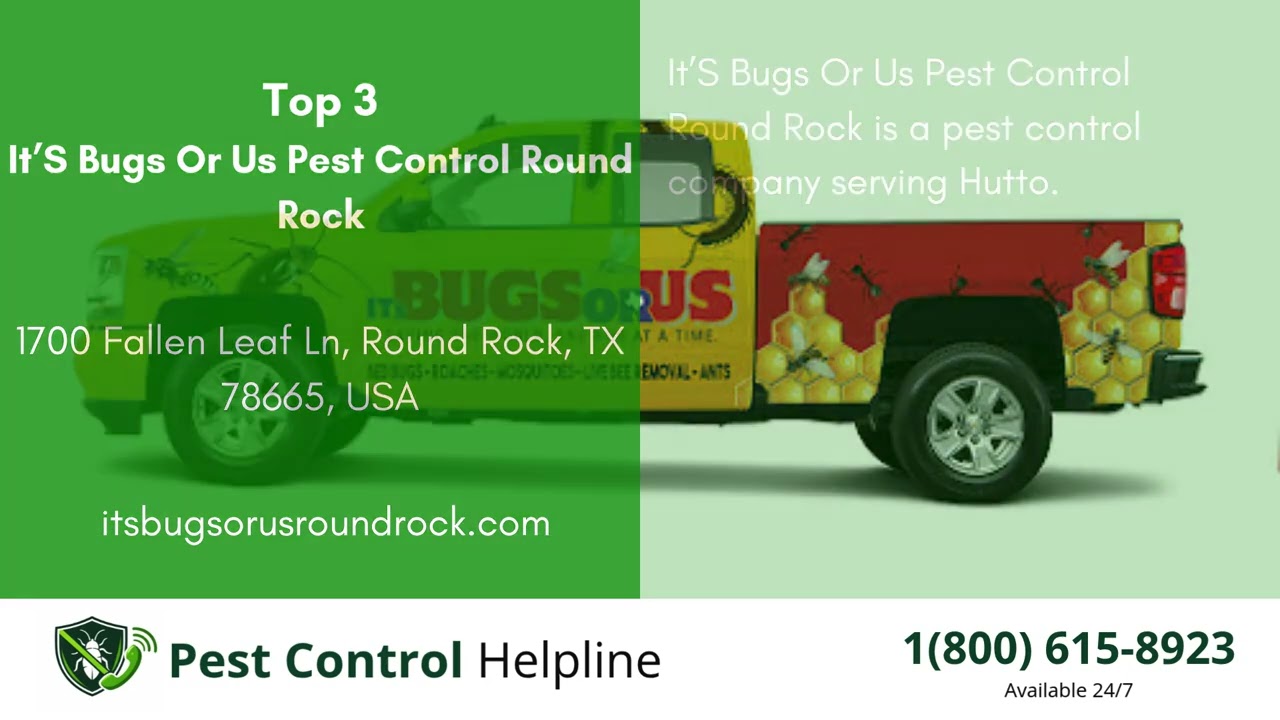 Top 3 Pest Control in Hutto
