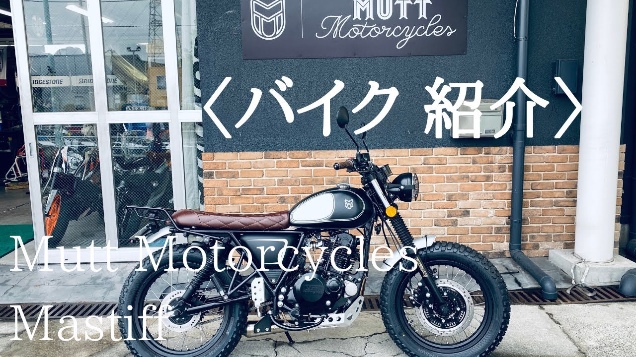 【バイク紹介】Mutt Motorcycles Mastiff 250 〜素人がうっすくご紹介〜