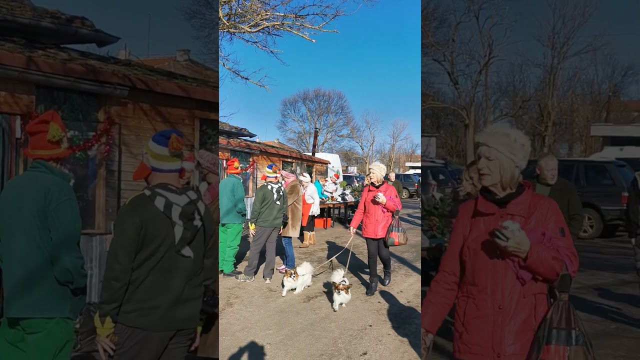 Dobrich, Bulgarie. Journ&eacute;e Caricative pour nos compagnons les chiens.(Dobrich Dog Rescue Elhovo)