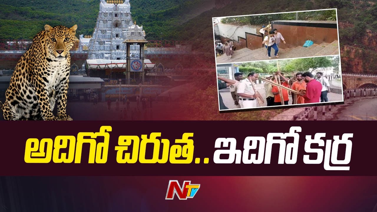 Tirupati : TTD Officials Gives Hand Stick To Devotees Who Came By Walk Alipiri | Ntv