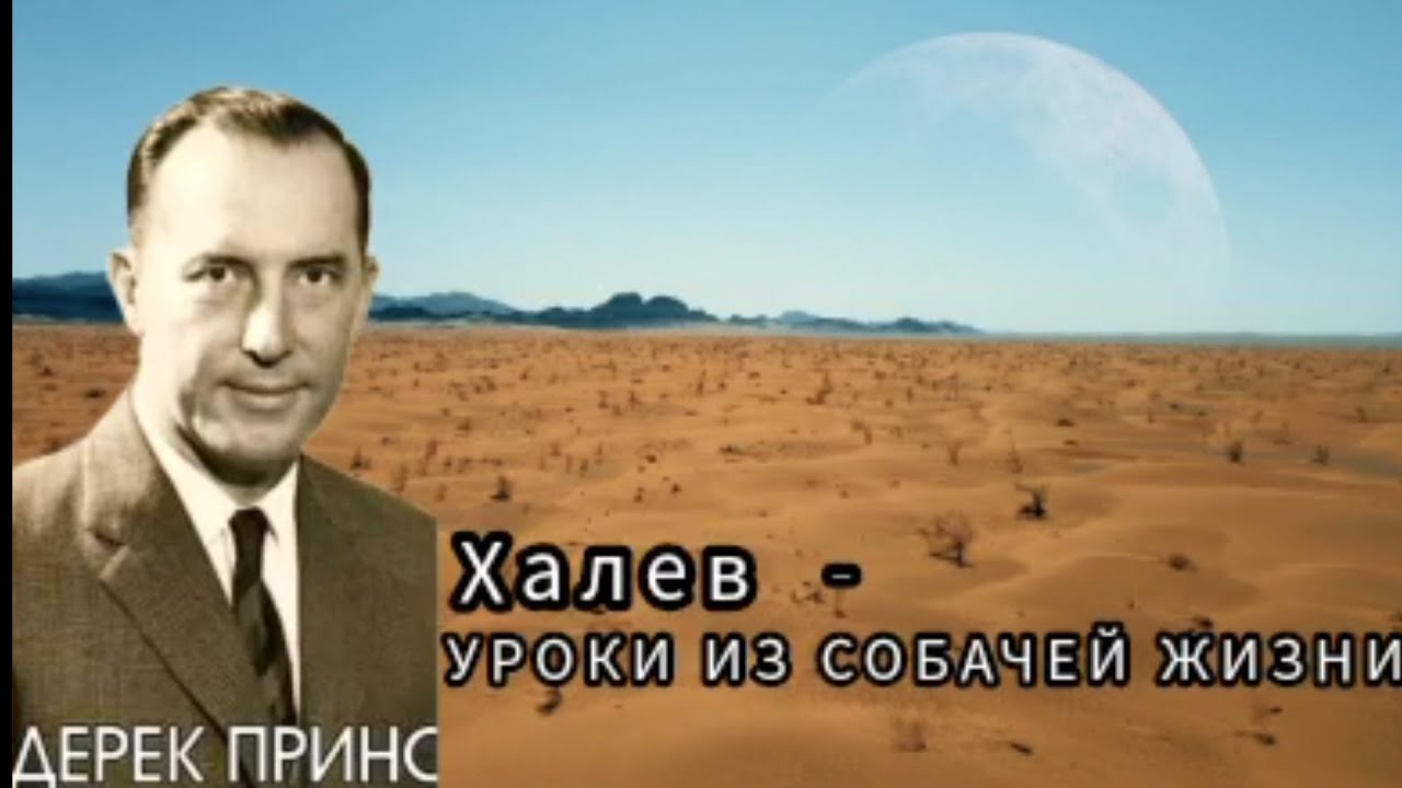 Дерек Принс  - Халев - уроки из собачей жизни .