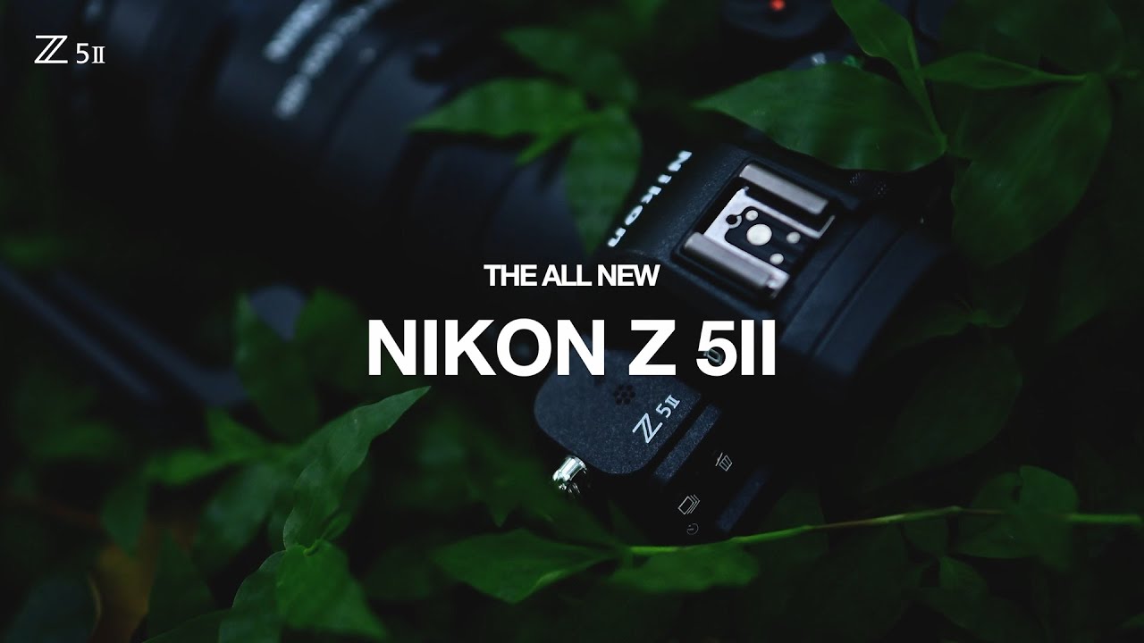 Nikon Z5II review with Nikkor Z 180-600mm F/6.3 | for nature and wildlife photography .