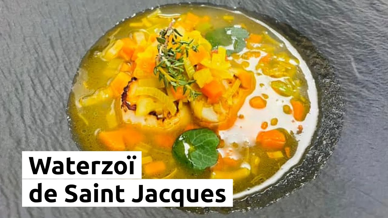 Waterzoï de Saint Jacques
