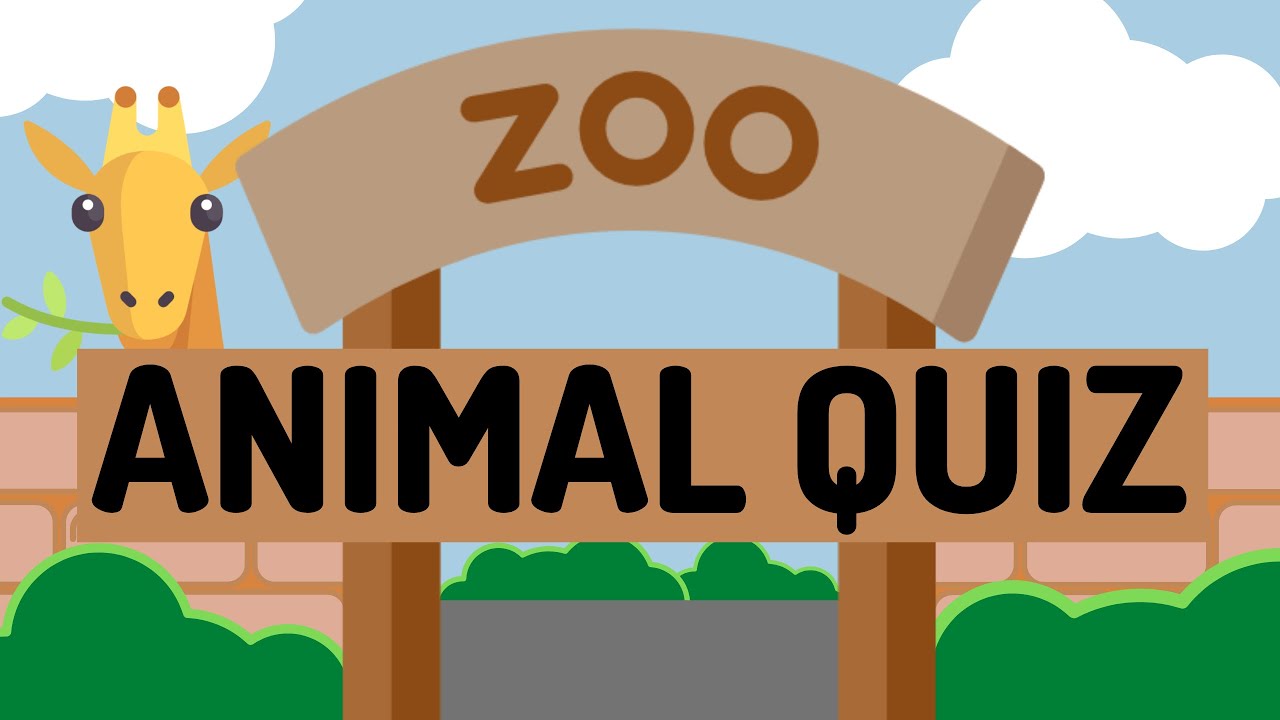 ZOO Animal Quiz | For Teachers and Kids | Kindergarten Teaching Resource | Timed Guessing Game