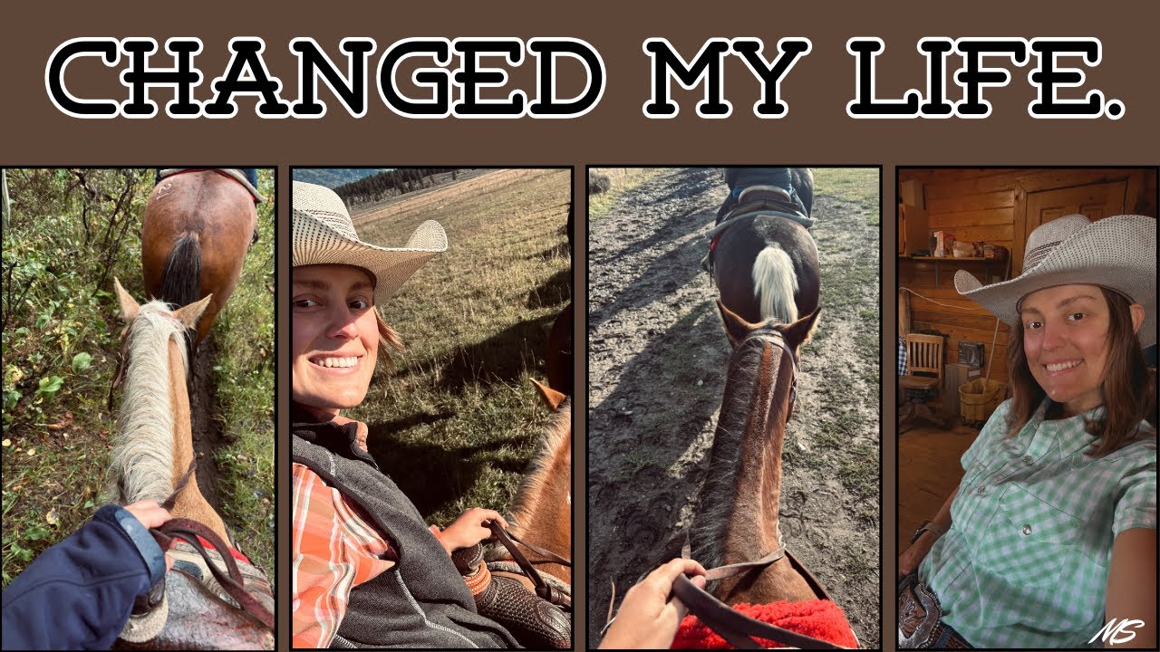 How getting my First HORSE JOB changed my life!! 🐴