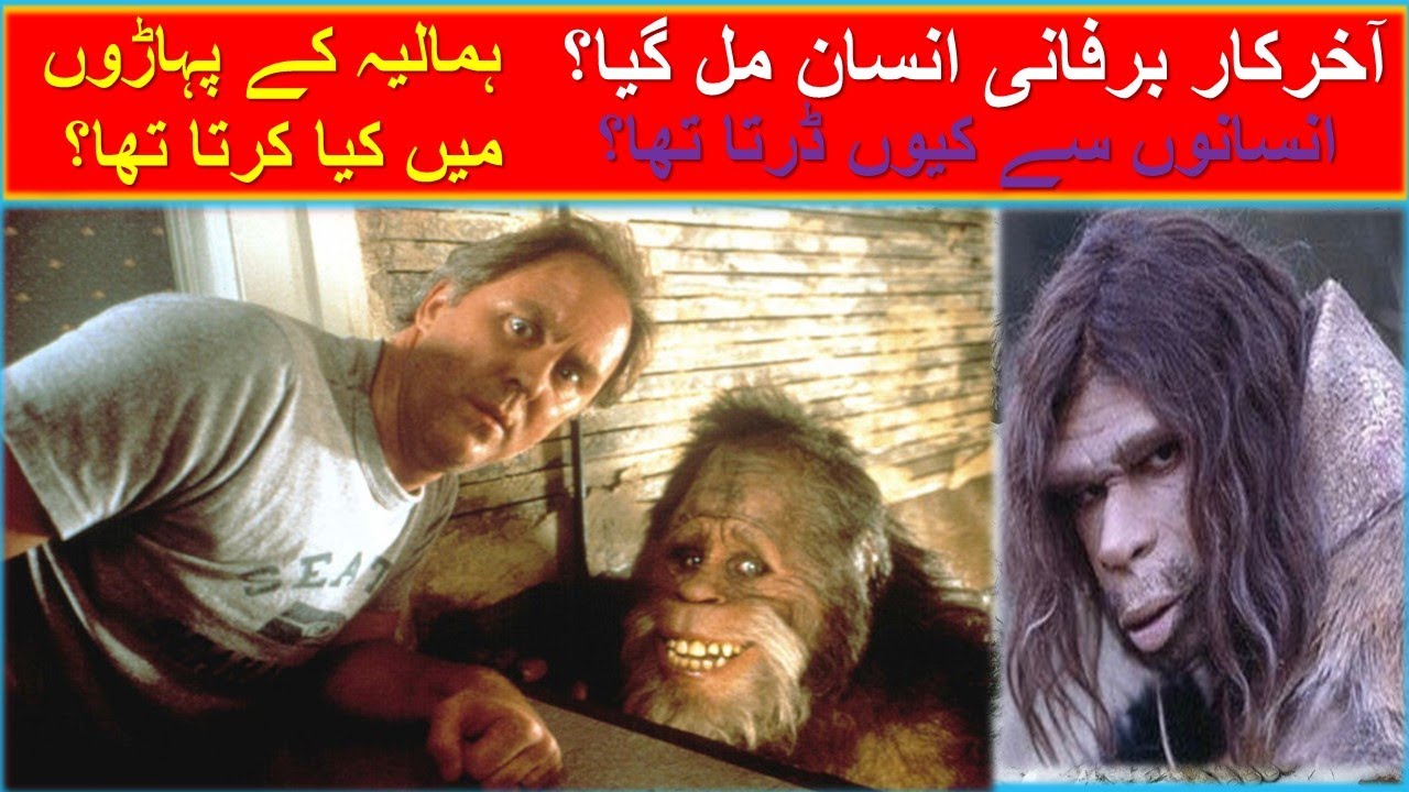 Snowman is found | What is this? | Reality of Yeti | Himalayas | Tibet | Mount Everest | Urdu