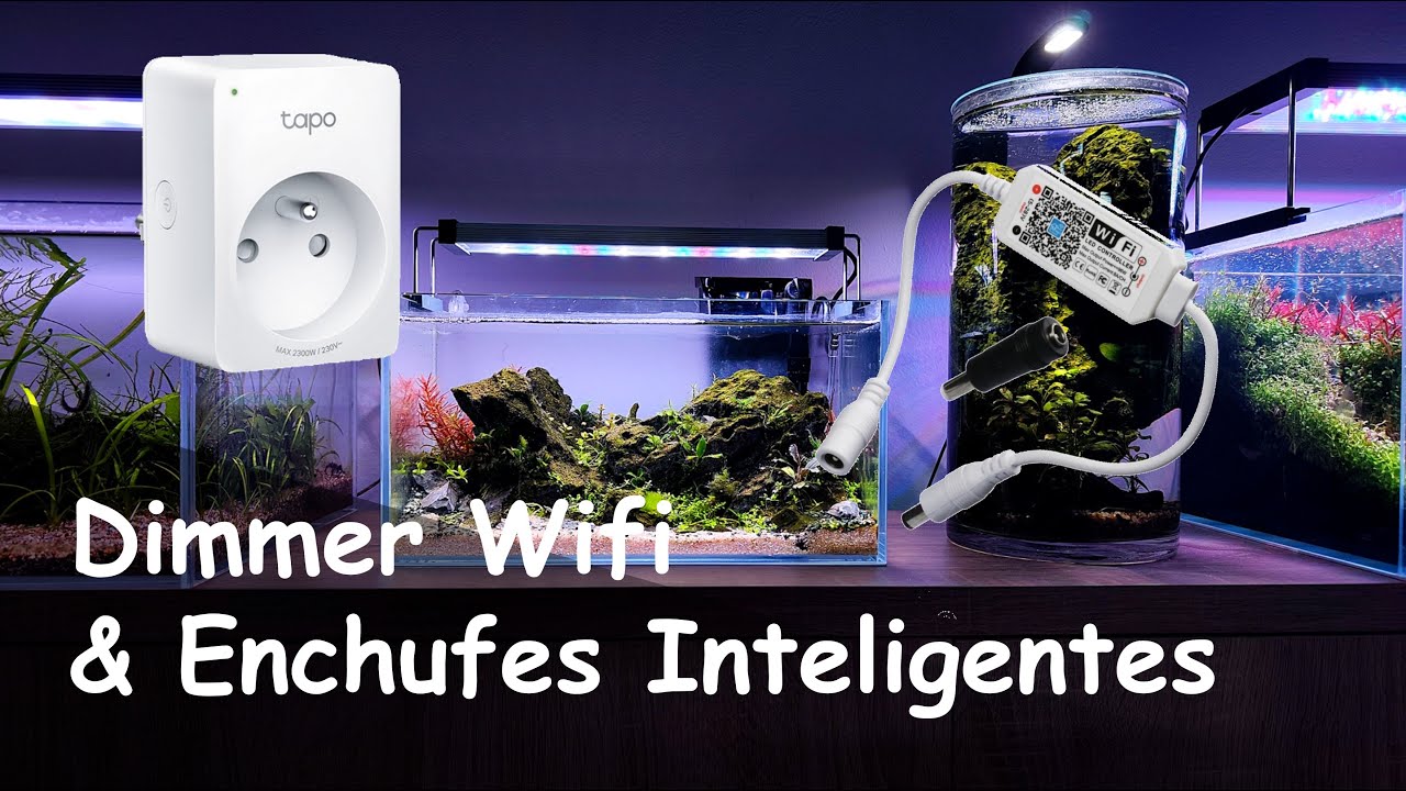 Dimmer WIFI Vs Enchufe Inteligente: Iluminación Twinstar, Nemolight, Lominie Asta 20 ...