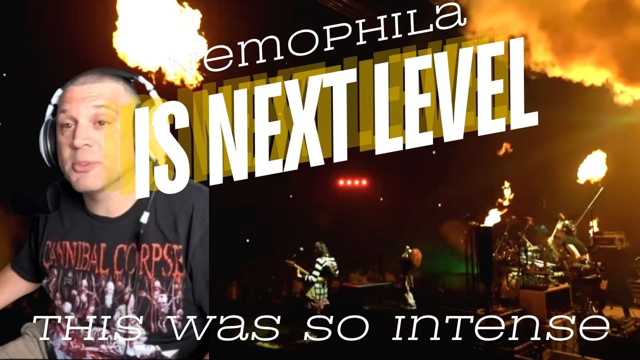 First time hearing Nemophila Zen and WOW!!! Reaction