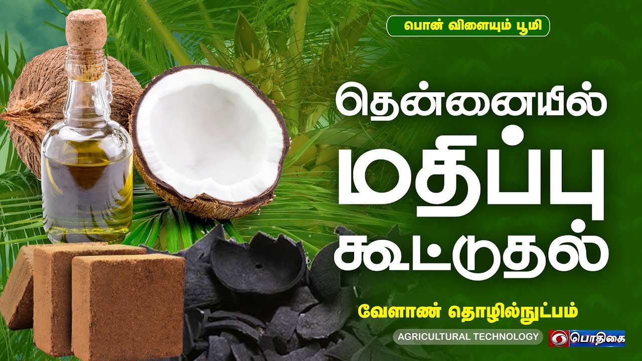 தென்னையில் மதிப்பு கூட்டுதல்