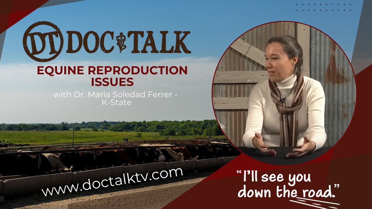 DocTalk Ep 51 - Equine Reproduction Issues