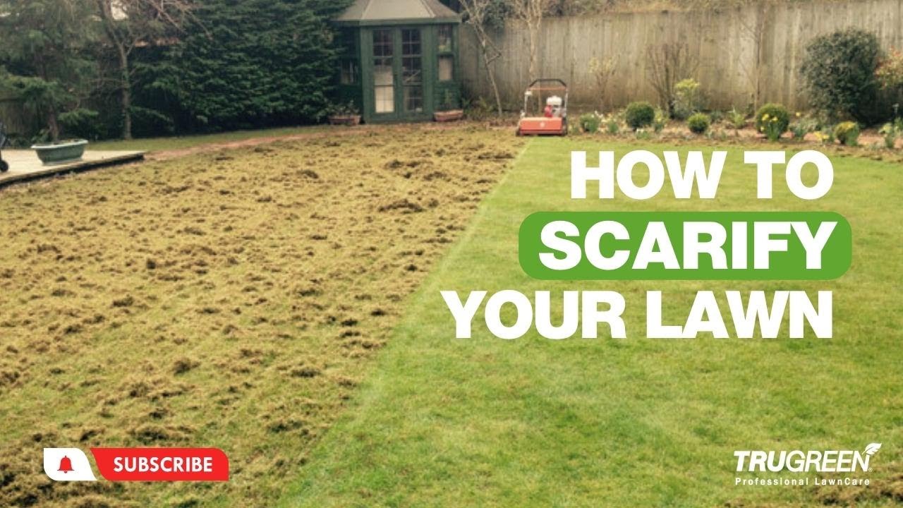 HOW TO SCARIFY YOUR LAWN IN SPRING