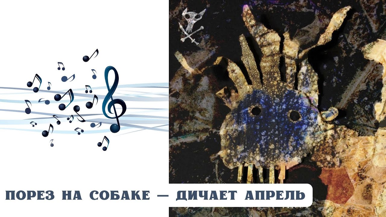 РЕАКЦИЯ, ОБЗОР И РАЗБОР: ПОРЕЗ НА СОБАКЕ — ДИЧАЕТ АПРЕЛЬ