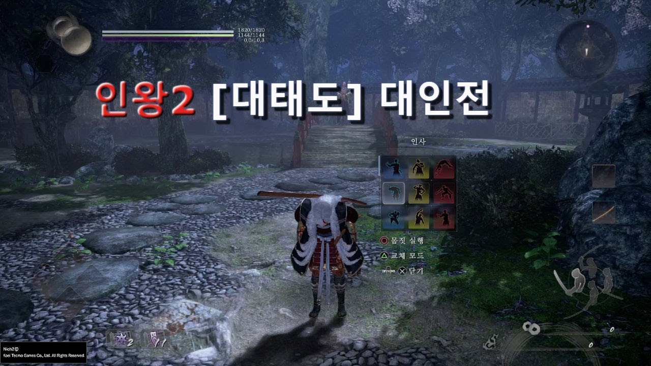 인왕2 [대태도] 대인전 스킬운영과 콤보