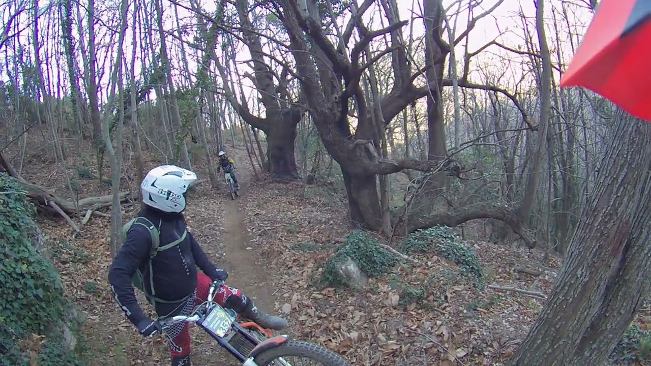 Boschi delle querce   Albenga mulatrial del mare 2023