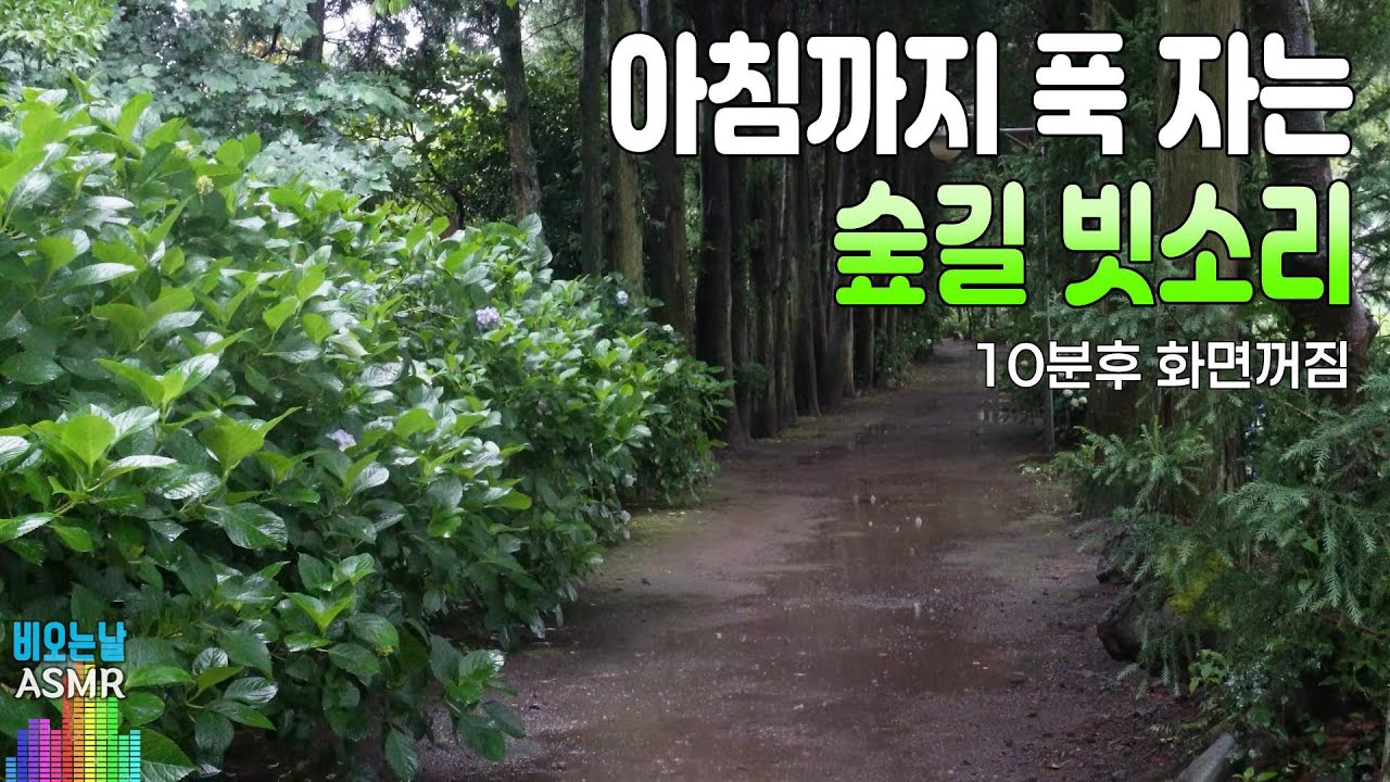 아침까지 푹 자는 숲길 빗소리/ 이명치료효과/ 10분후 화면꺼짐