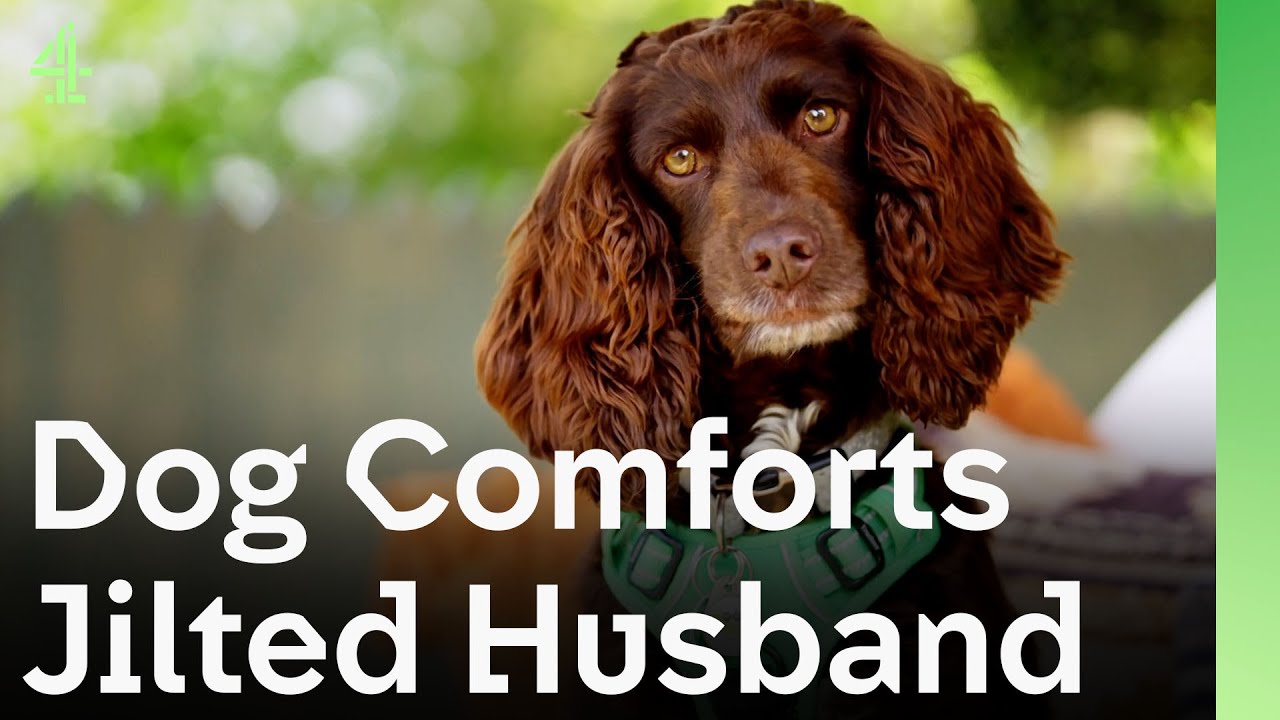 Dog Helps Comfort a Jilted Husband After Being Left Broken Hearted | The Dog House 🐶