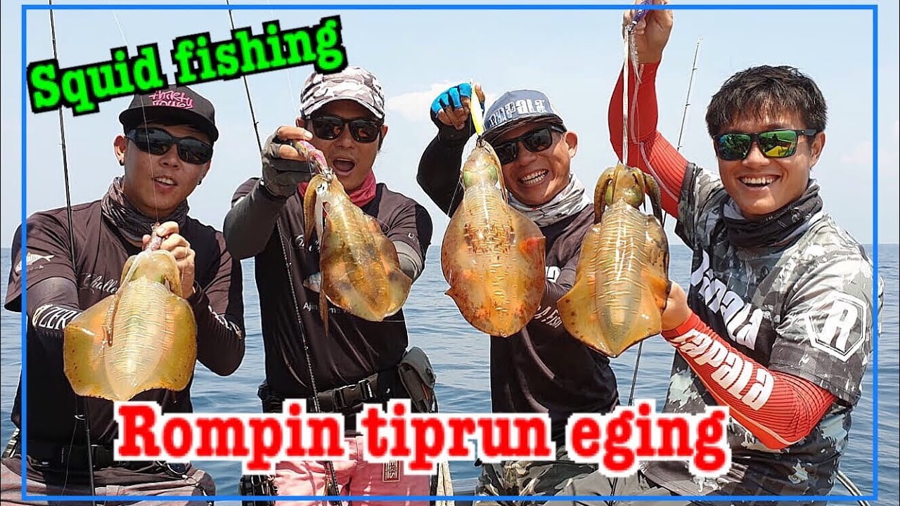DQ Tiprun Eging/Rompin Squid Fishing