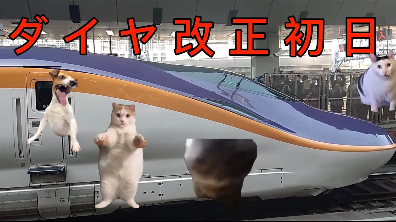 ［猫ミーム］ダイヤ改正初日に東京駅に新幹線を見に行った話