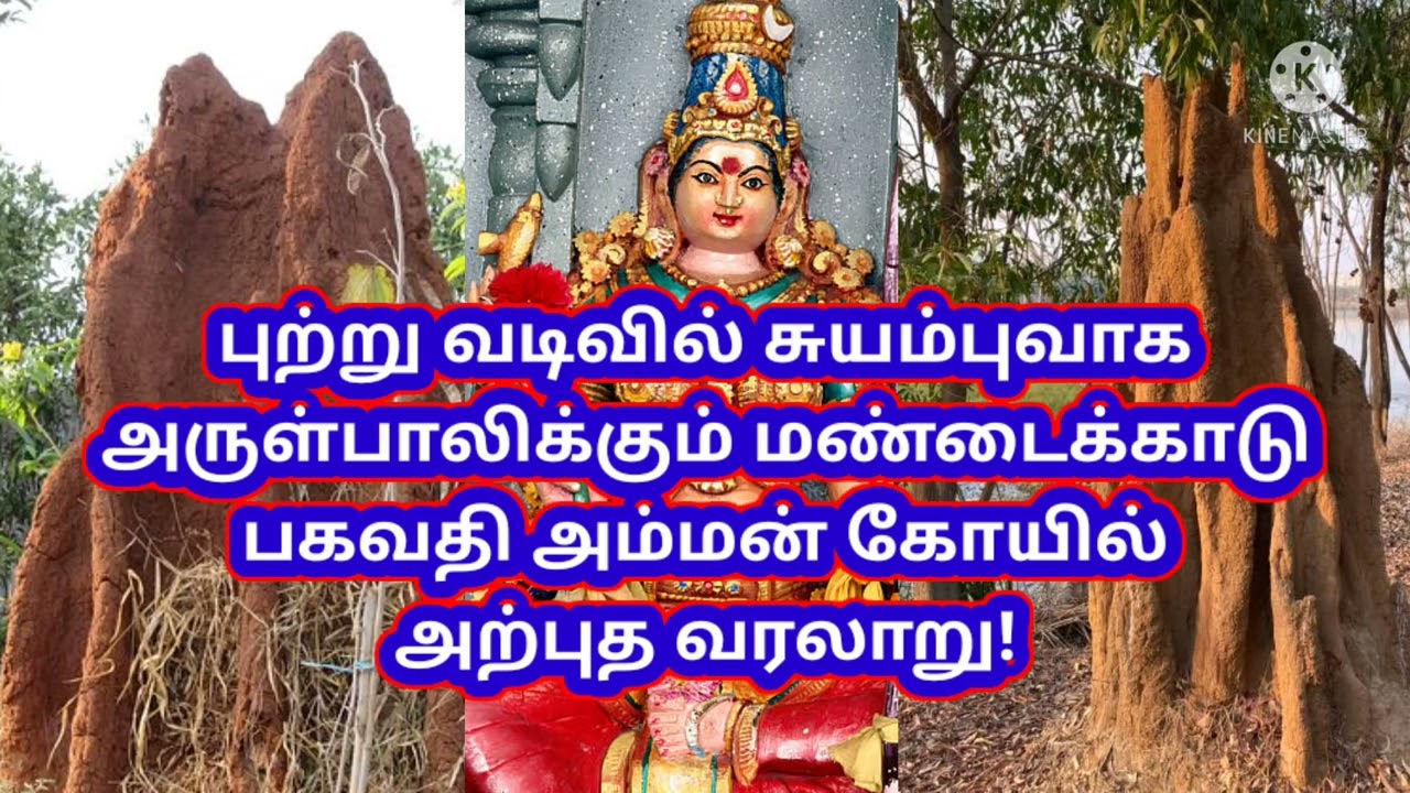 Mandaikadu Bhagavathi Amman Temple - Wonderful History 🙏🙏🙏