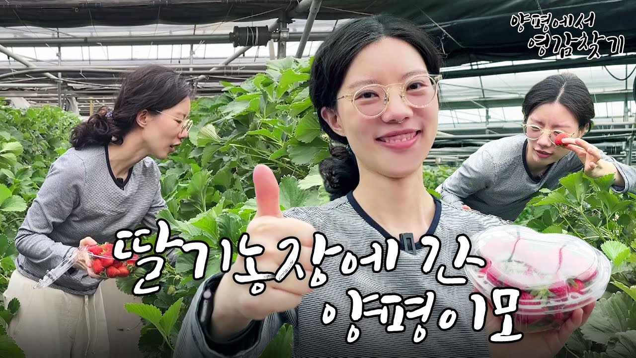 [2부] 물 맑은 양평엔 딸기를 따며 살아가는 유튜버 햄튜브가 있다.｜240603 방송