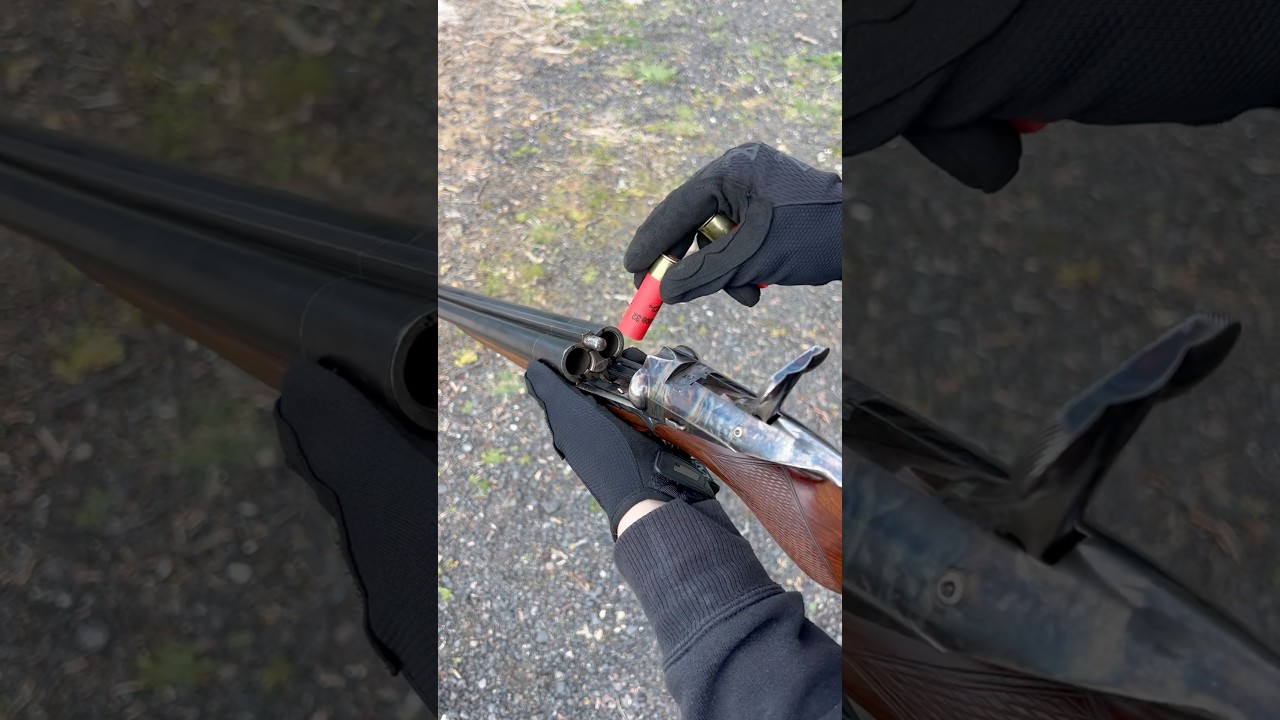 Fusil de chasse calibre 16 #chasse #tirsportif #22longrifle #chasseur #funshoot #stand #airsoft