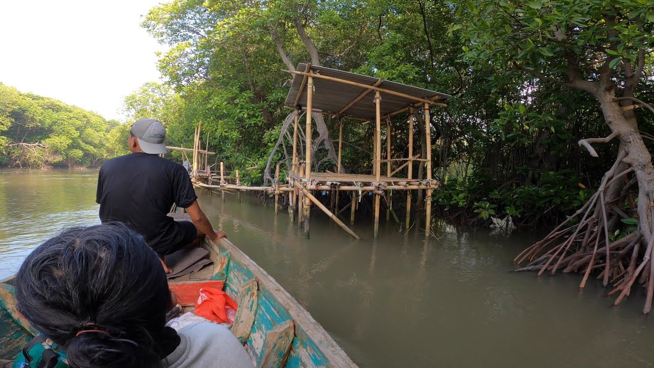 Mancing Keluarga Kakap Putih di bagan dan Muara Gembong