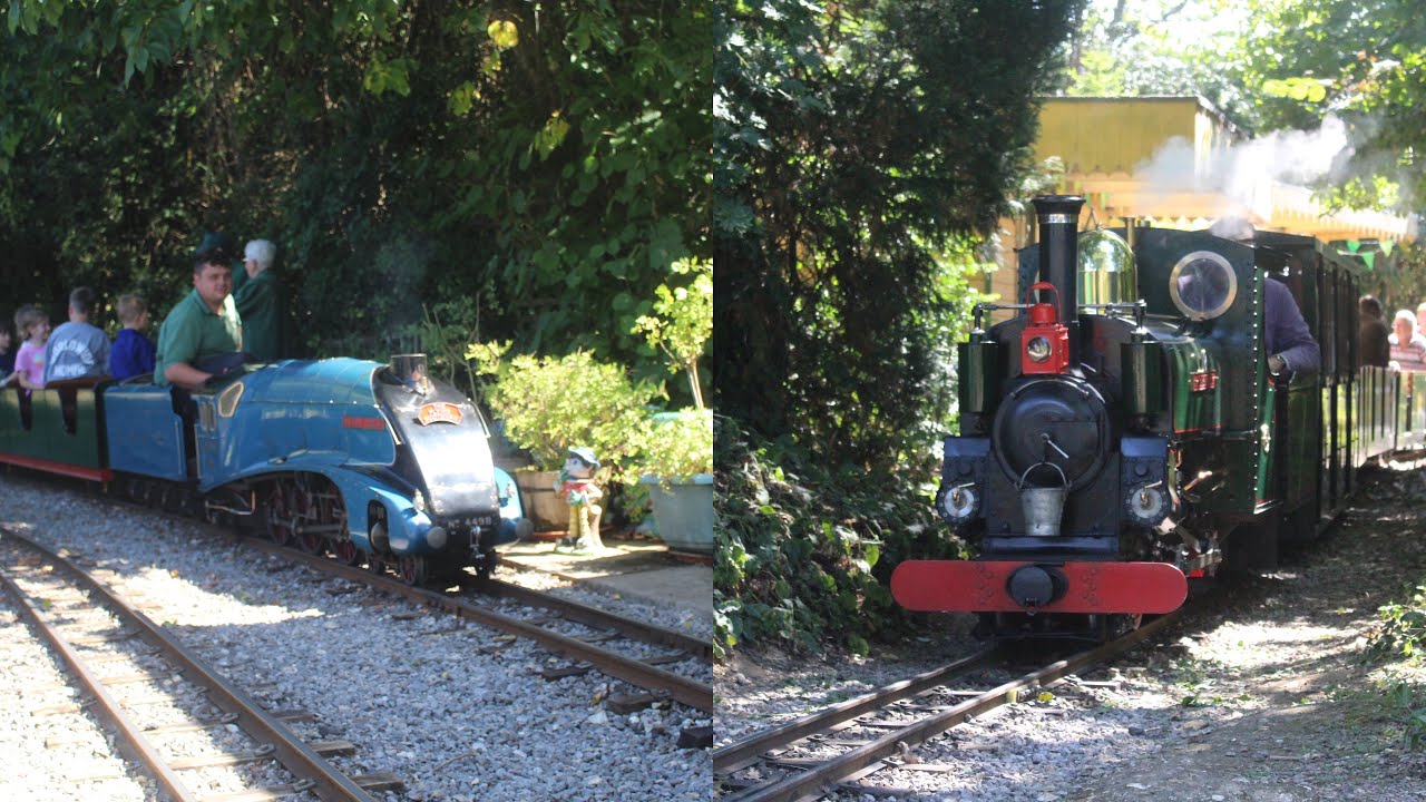 Agapanthus and sir Nigel Gresley in the heat on the South Downs light railway 17/08/2025