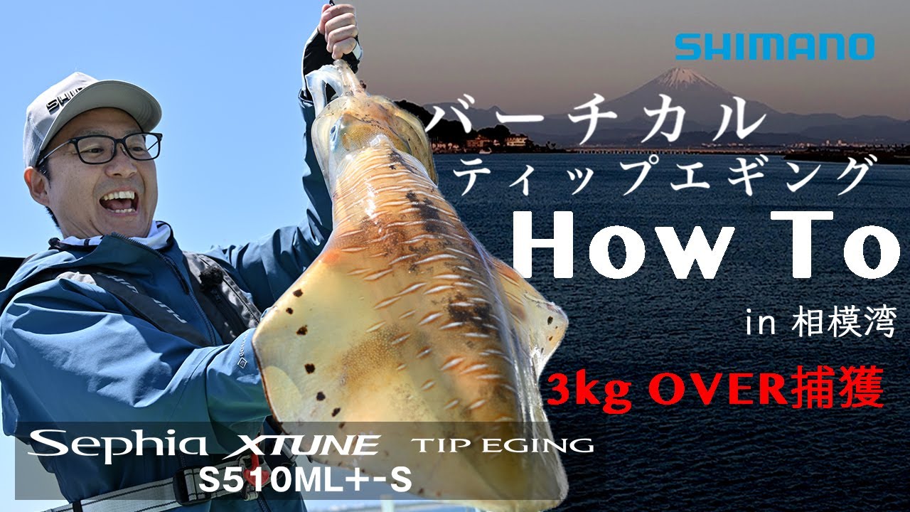 バーチカルティップエギングHOWTO in 相模湾 × セフィアXTUNE S510ML+-S 【3kgオーバー捕獲】