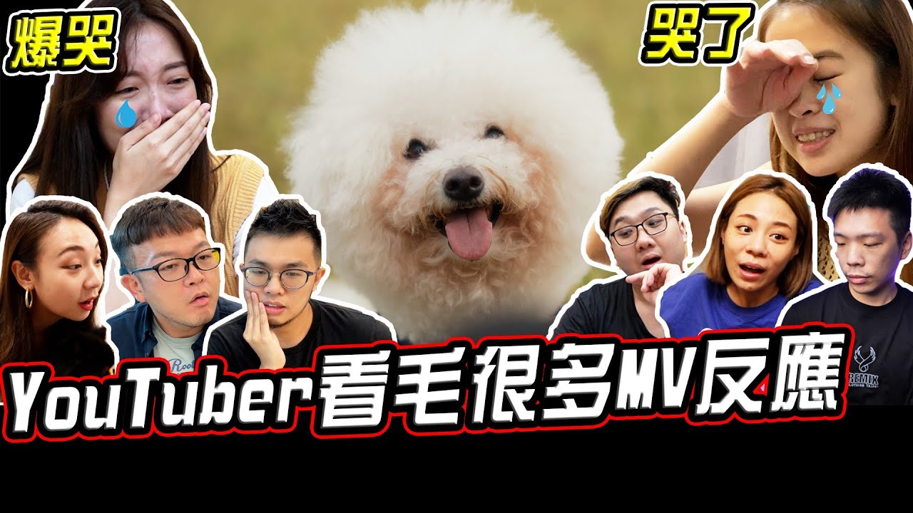 現場爆哭！7位YouTuber第一次看毛很多MV的反應@fumeanmen @cacabella0910 @soyaplan @宜峯Chris @blackm3 @YOCINDY @suqojo2004 ​