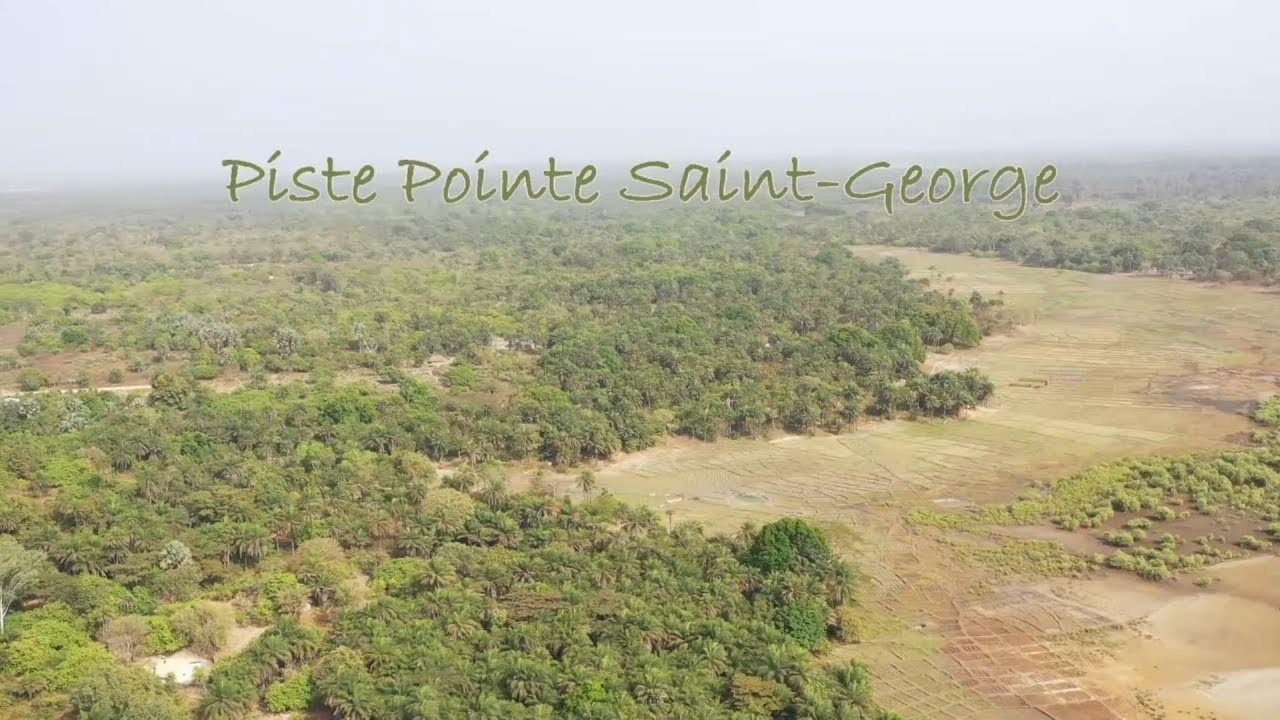 Pointe Saint Georges et ses lamentins