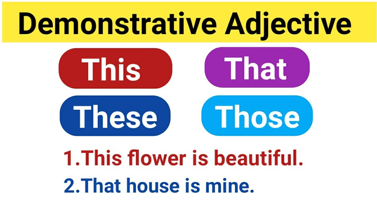 Demonstrative Adjective / Demonstrative Adjective vs demonstrative Pronoun
