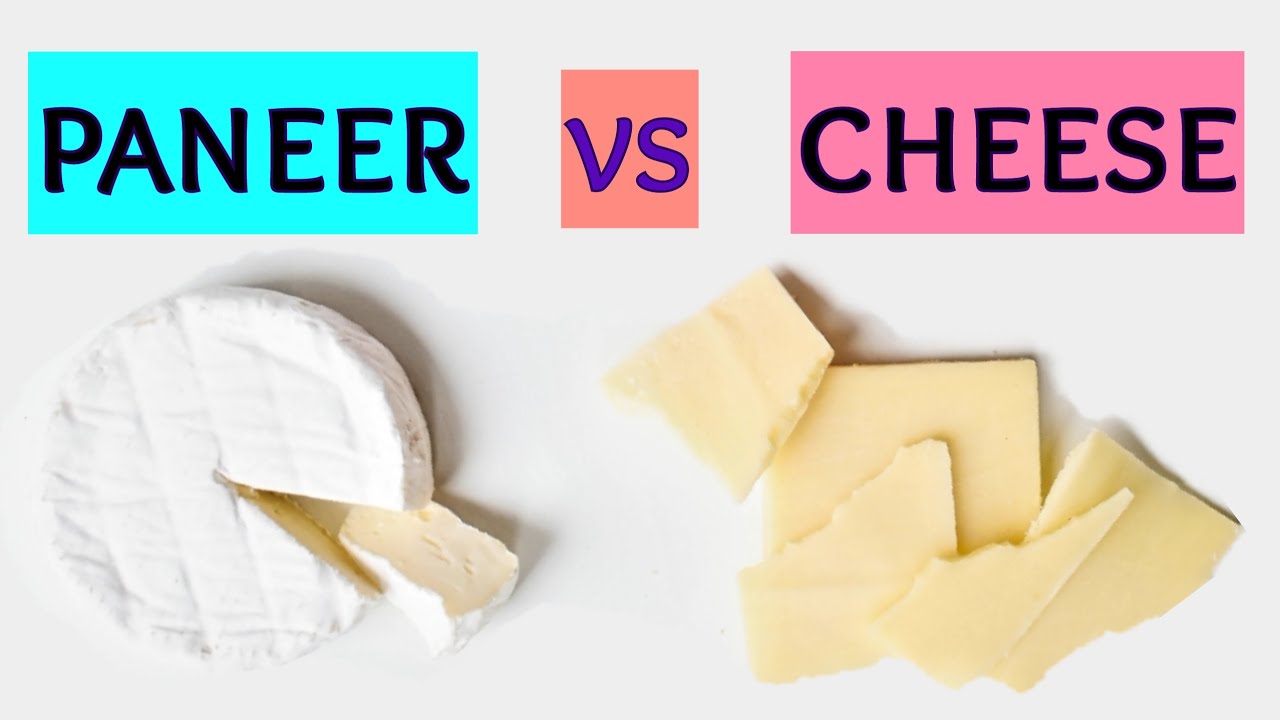 cheese vs paneer/paneer vs cheese /cheese vs paneer in hindi/cheese aur paneer mein kya antar hai